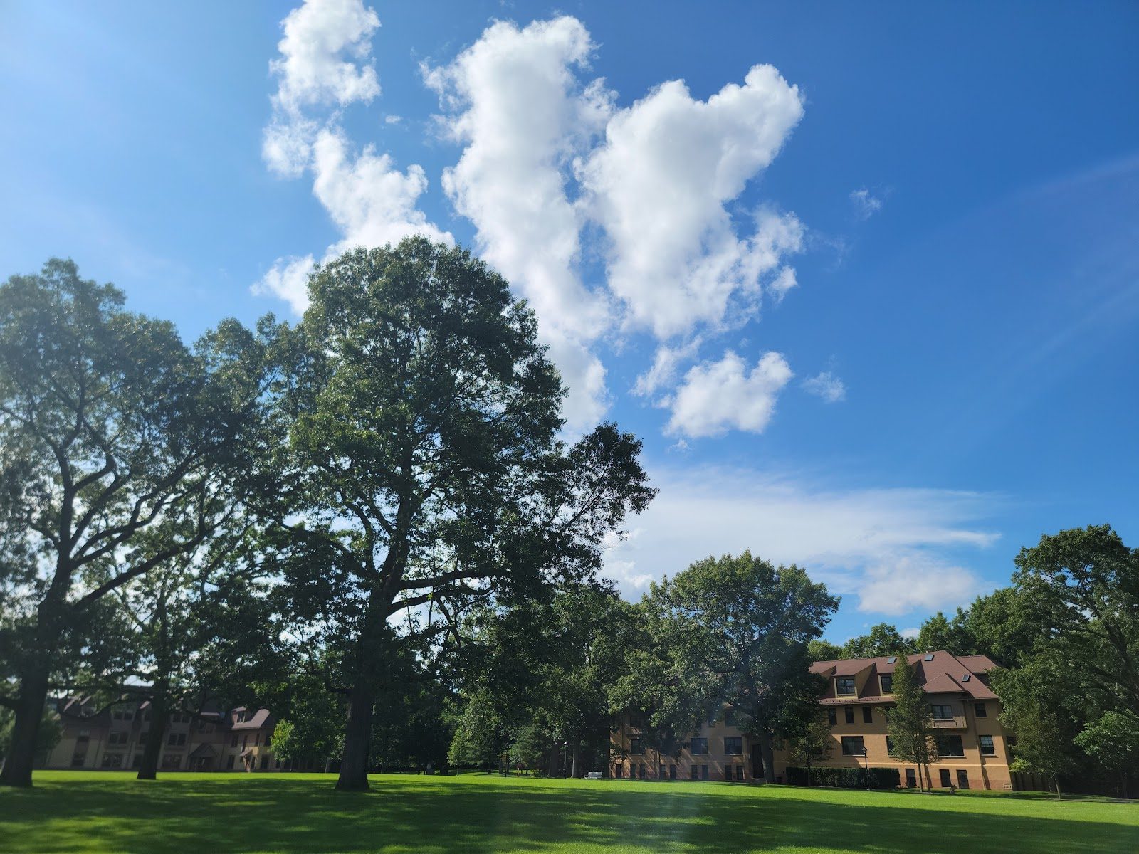 Westminster School