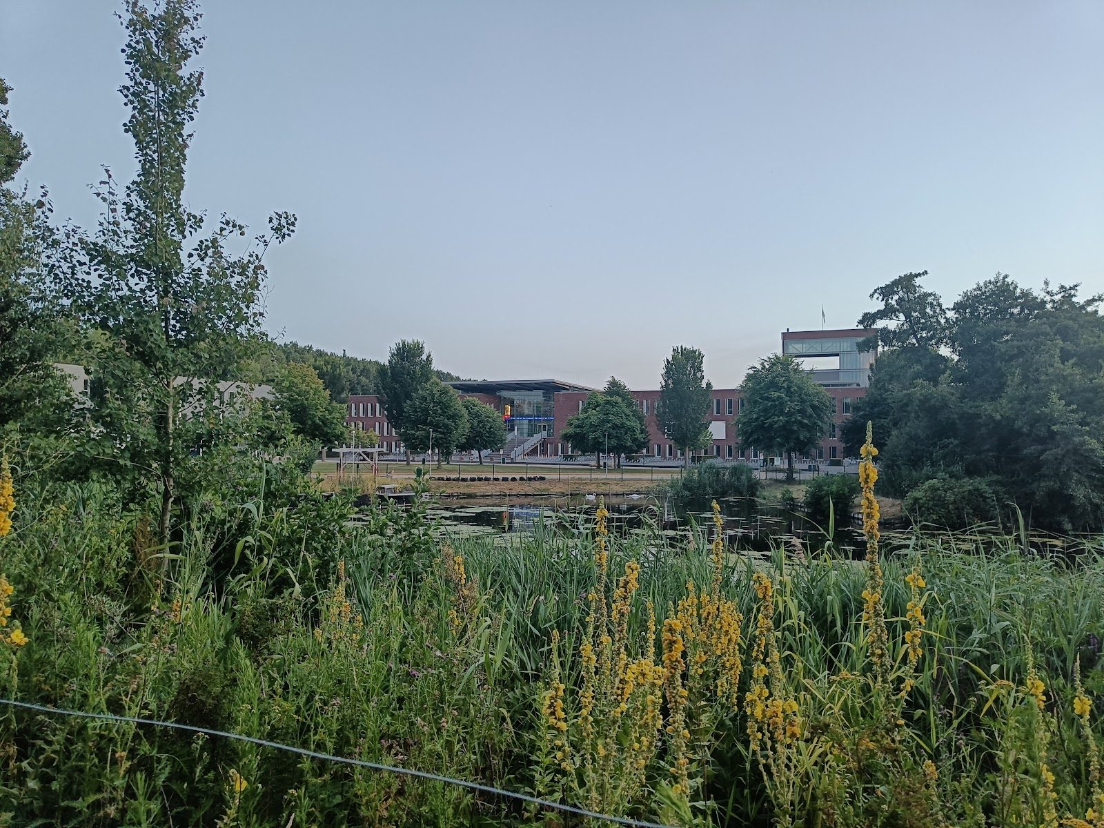 The International School of The Hague