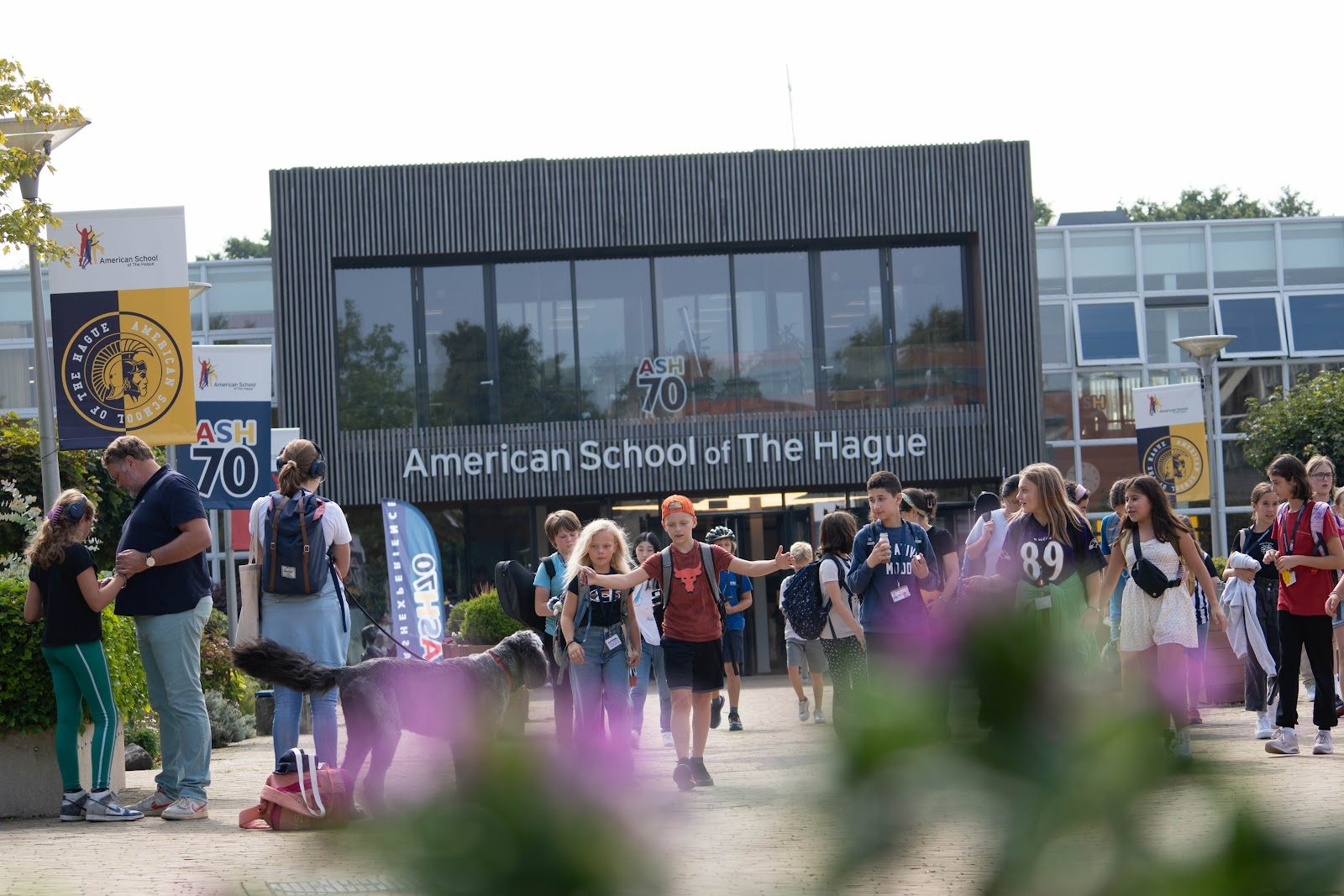 American School of The Hague