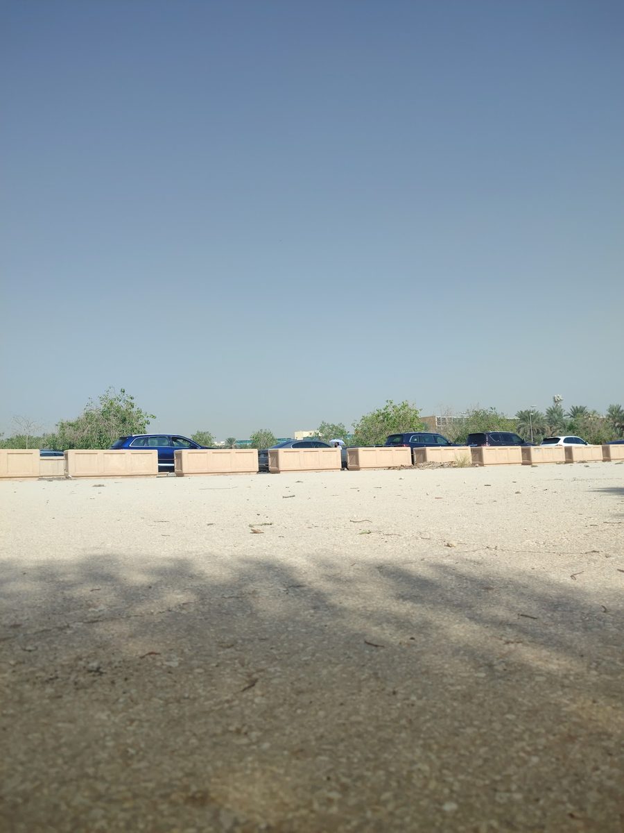 King Faisal School