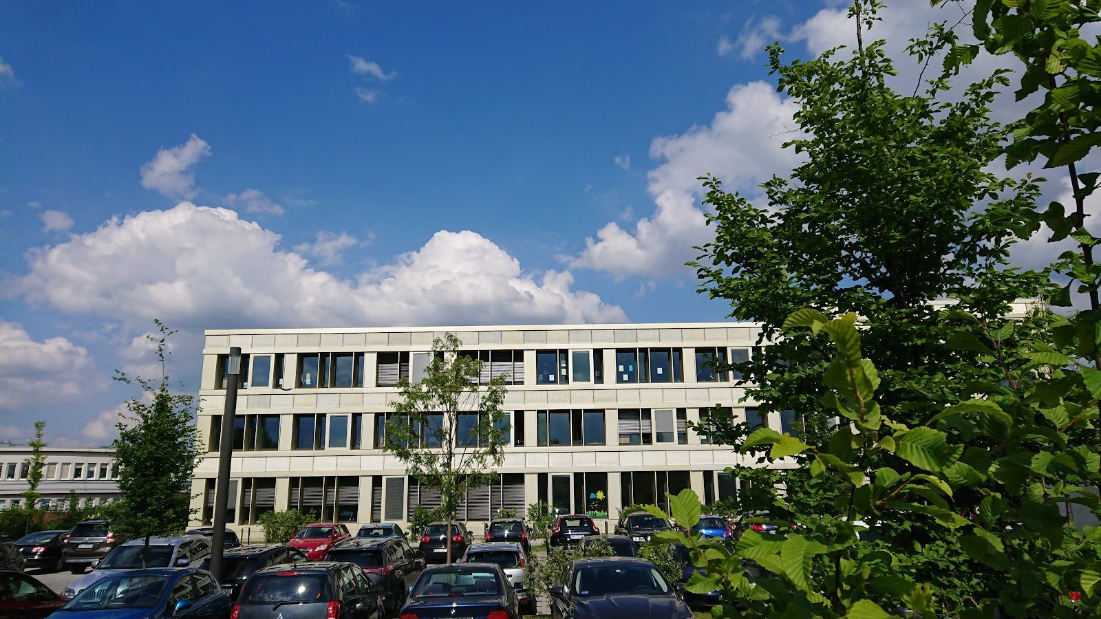 Willy Brandt German School