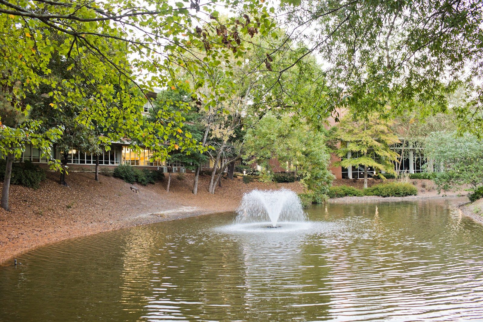 The Lovett School