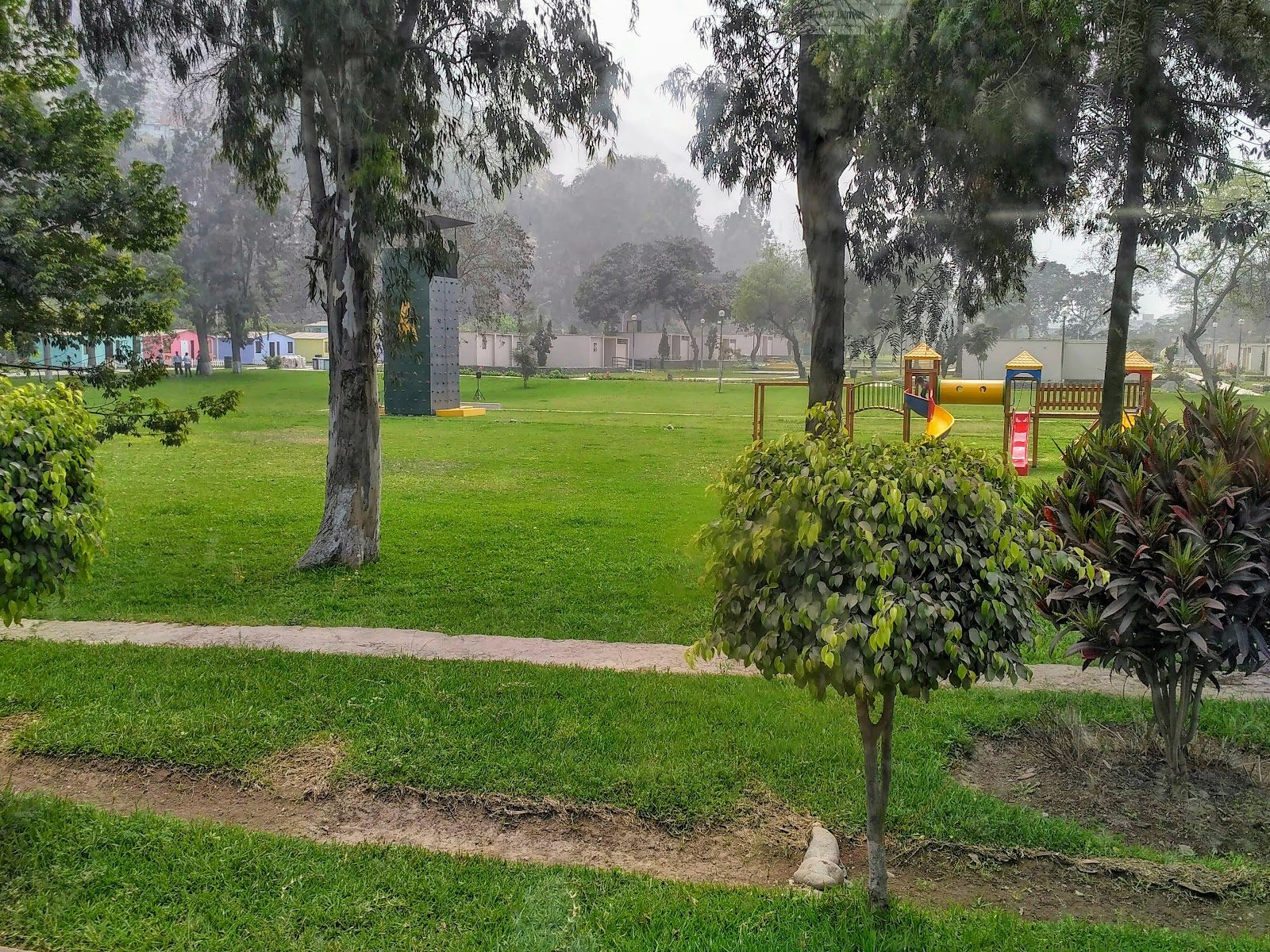 Colegio Mayor Secundario Presidente del Perú (COAR Lima)