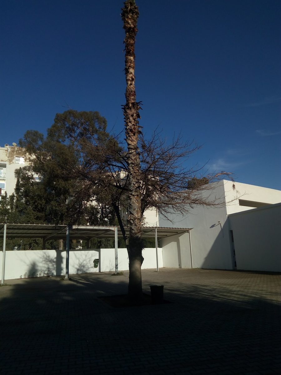 Lycée Pierre Mendès France