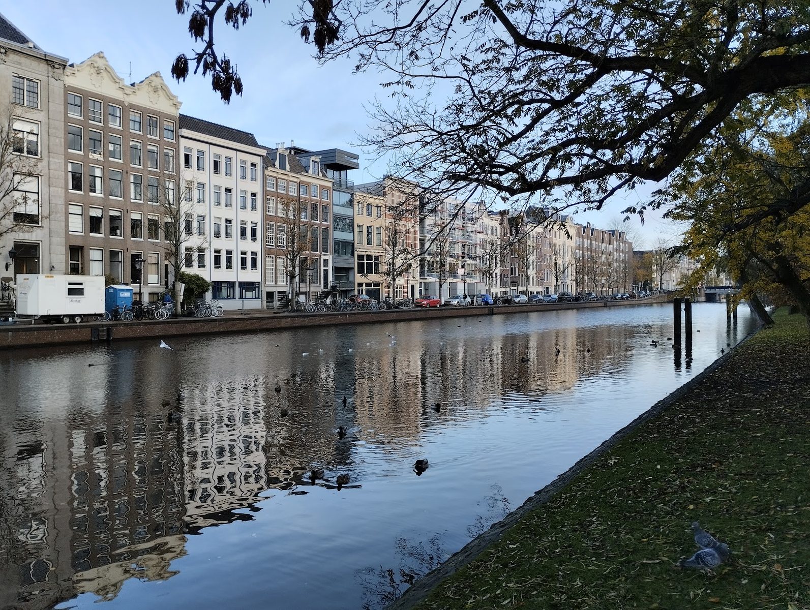 Amsterdam International Community School