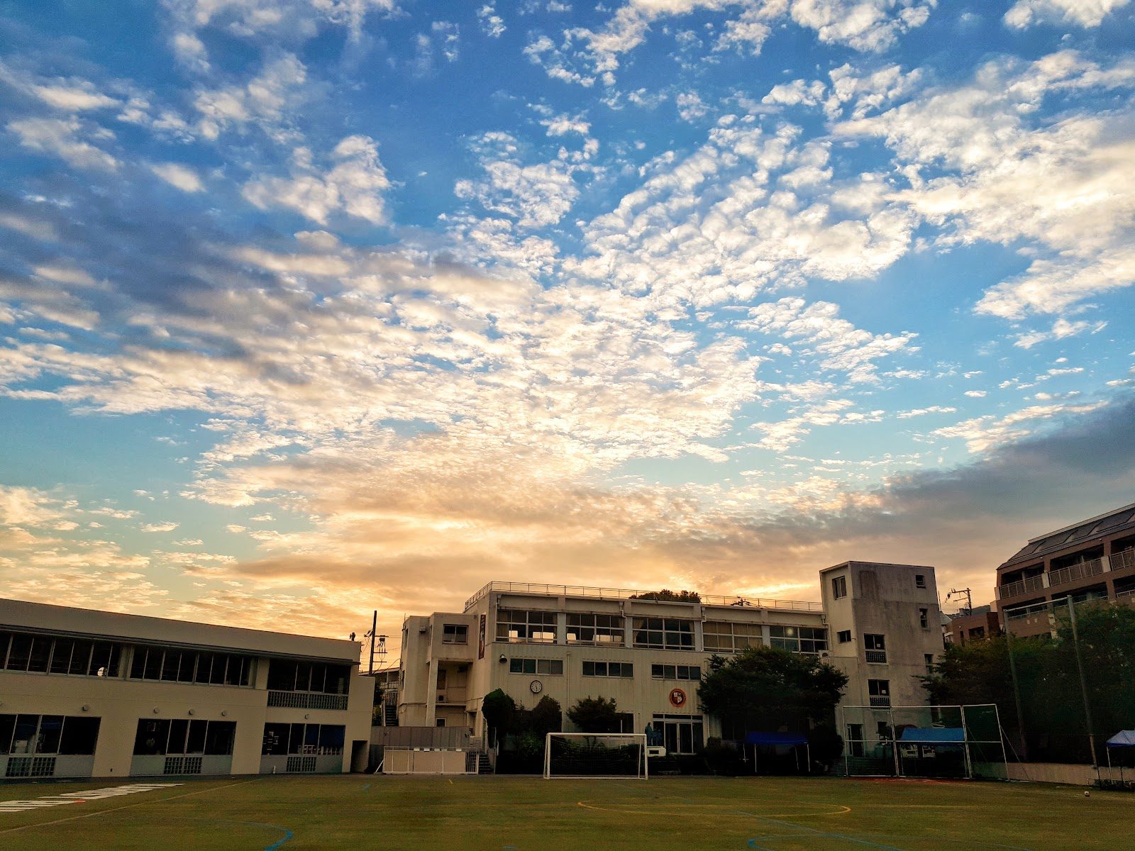 Marist Brothers International School