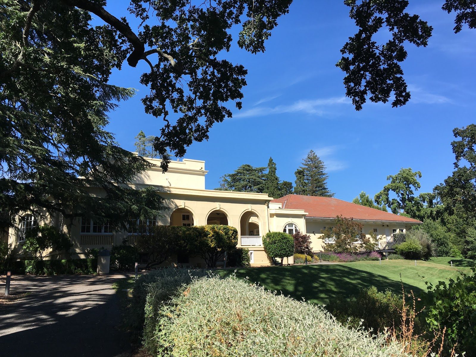 The Branson School