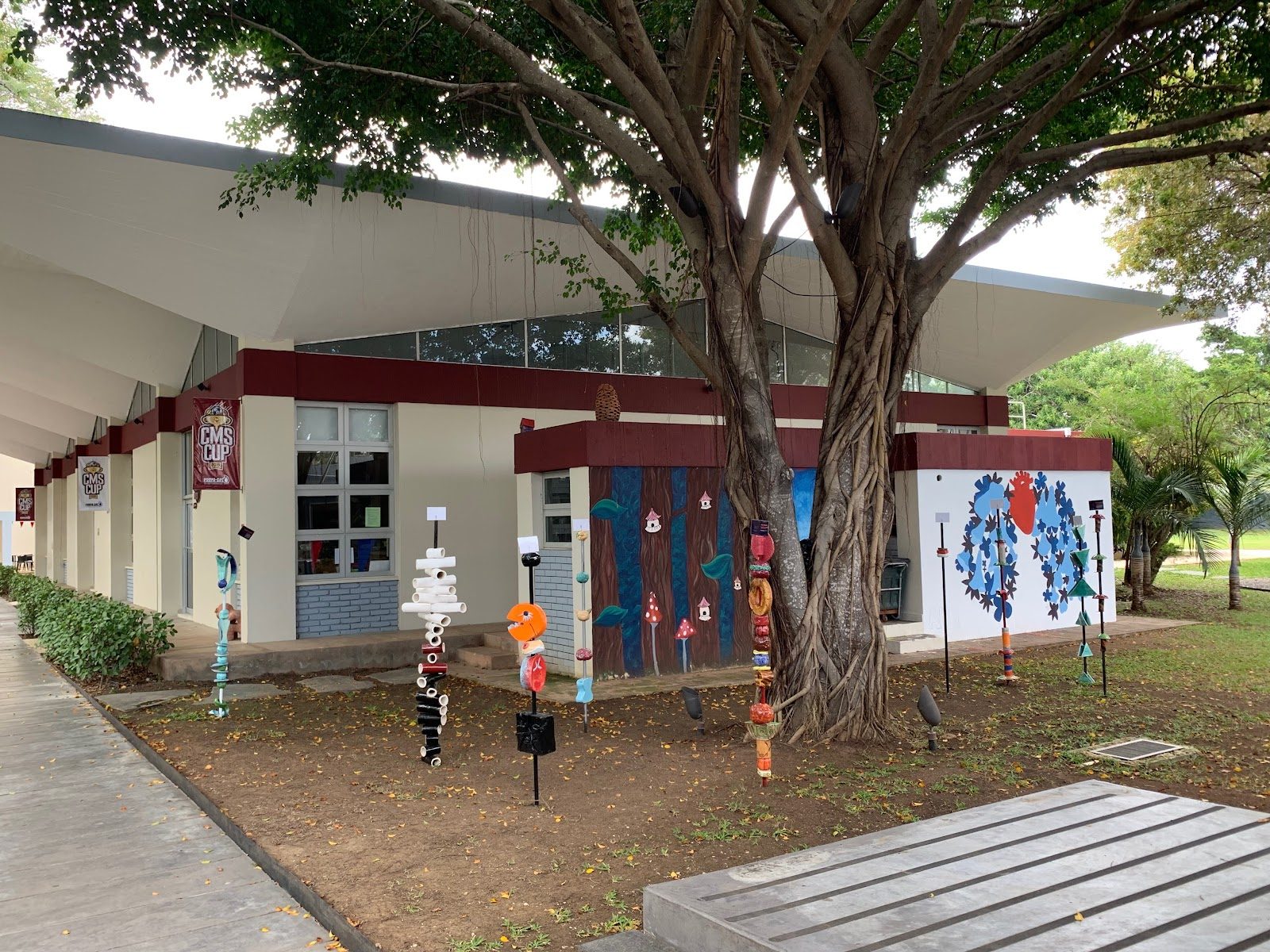 Carol Morgan School