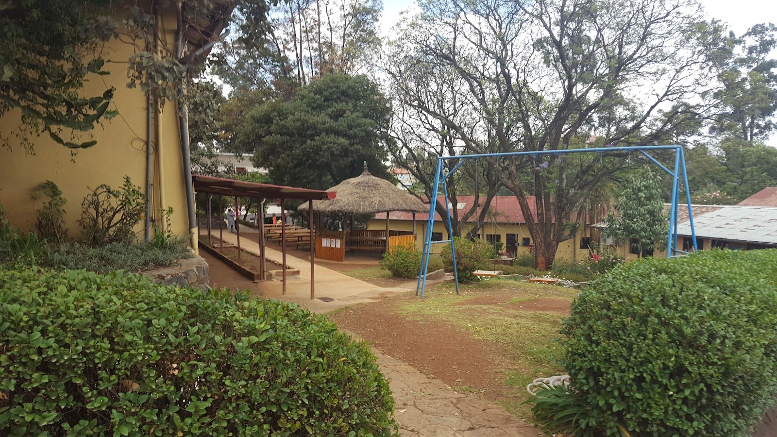 Bingham Academy