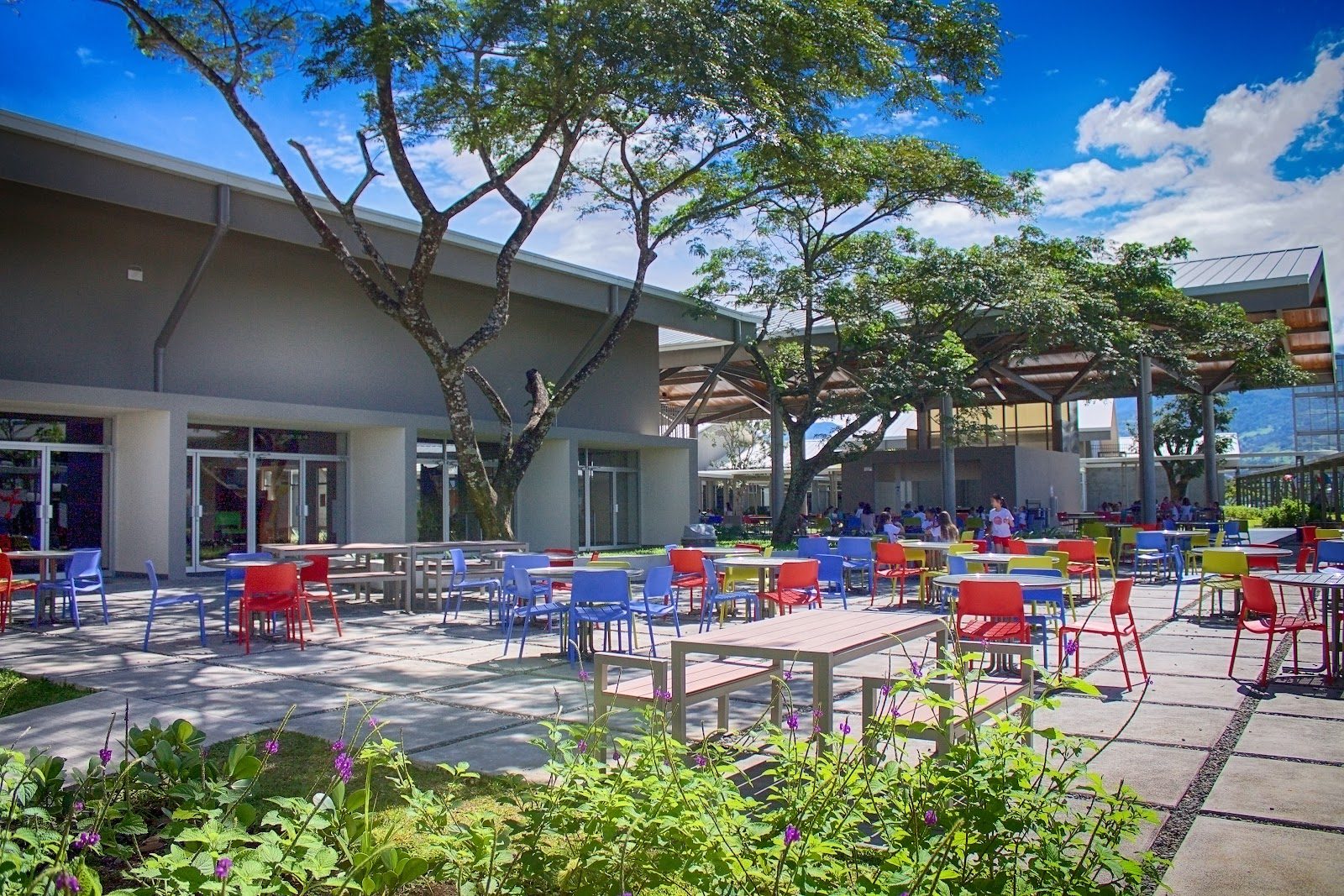 Country Day School
