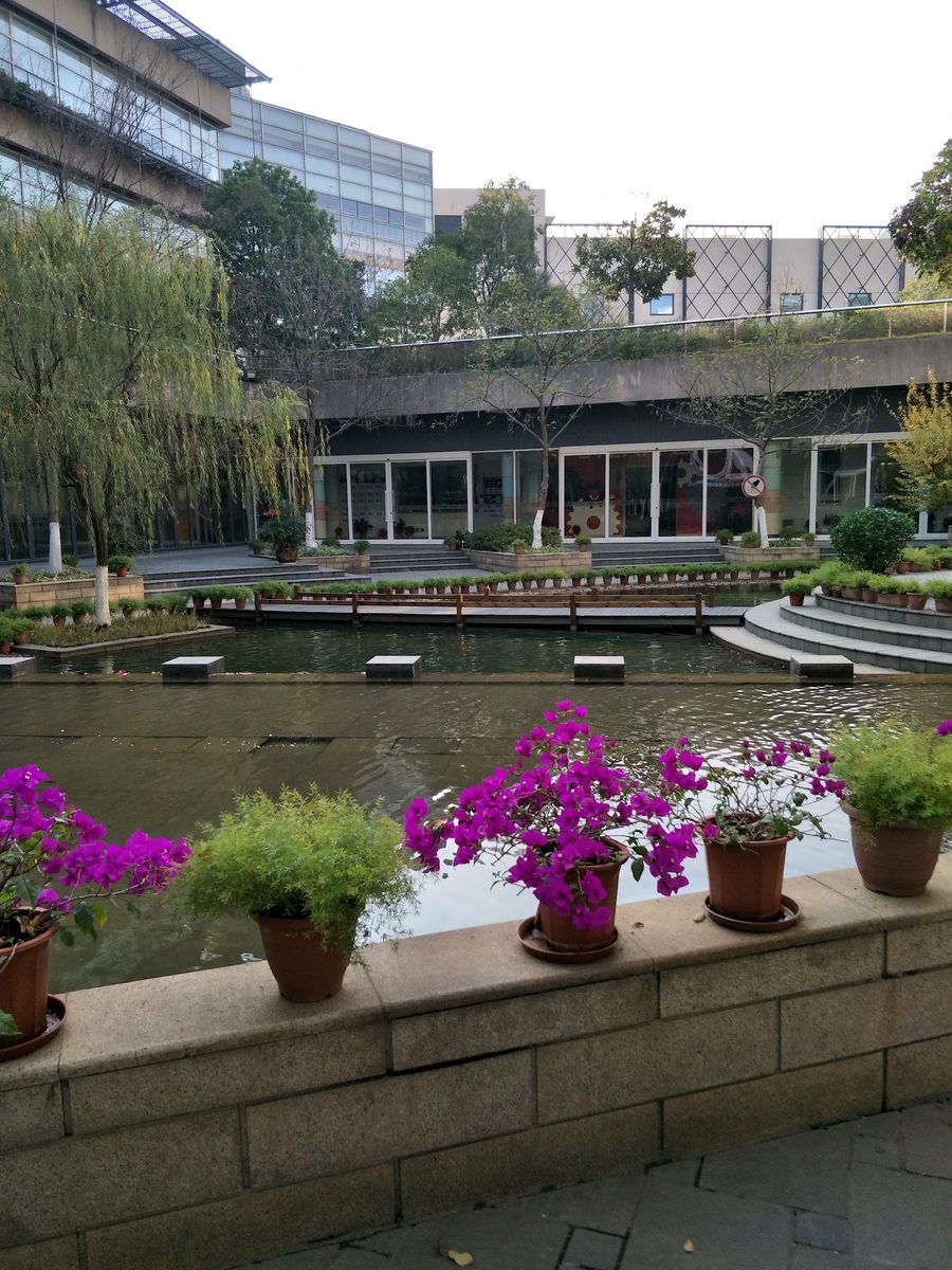 Shanghai Singapore International School