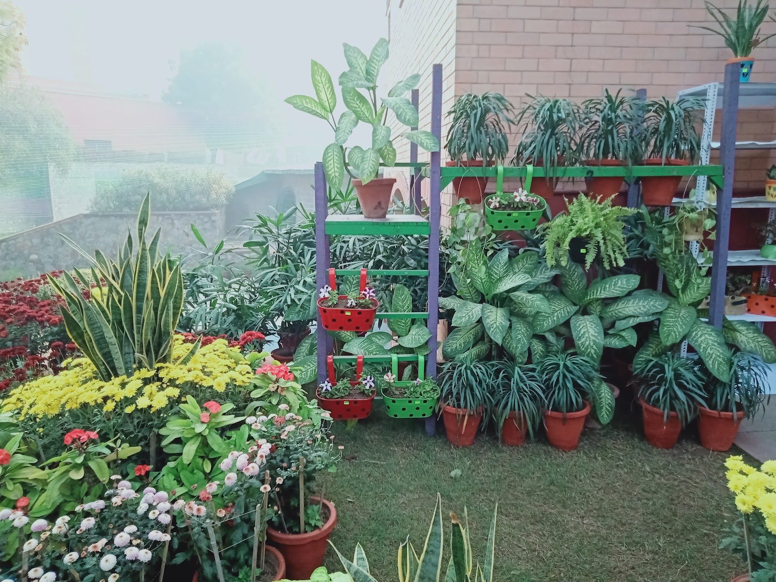 Sanskriti School