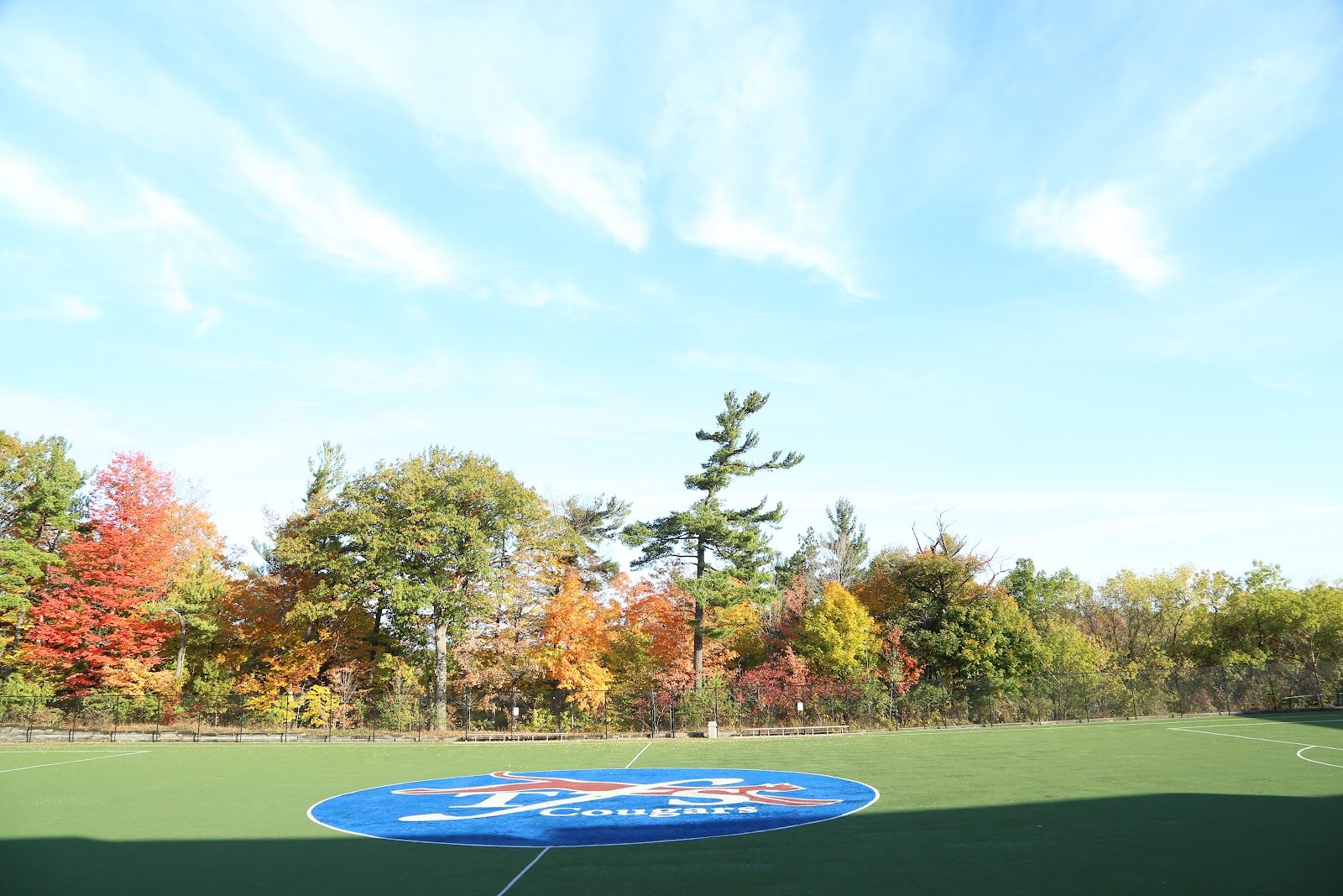 TFS – Canada's International School